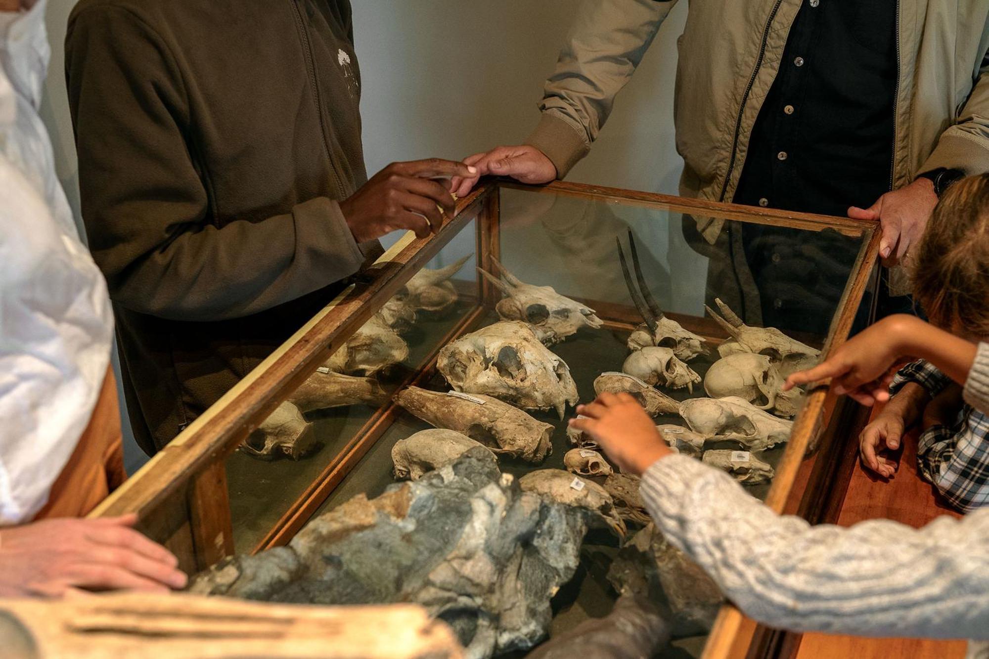 Samara Karoo Reserve Graaff-Reinet Eksteriør billede