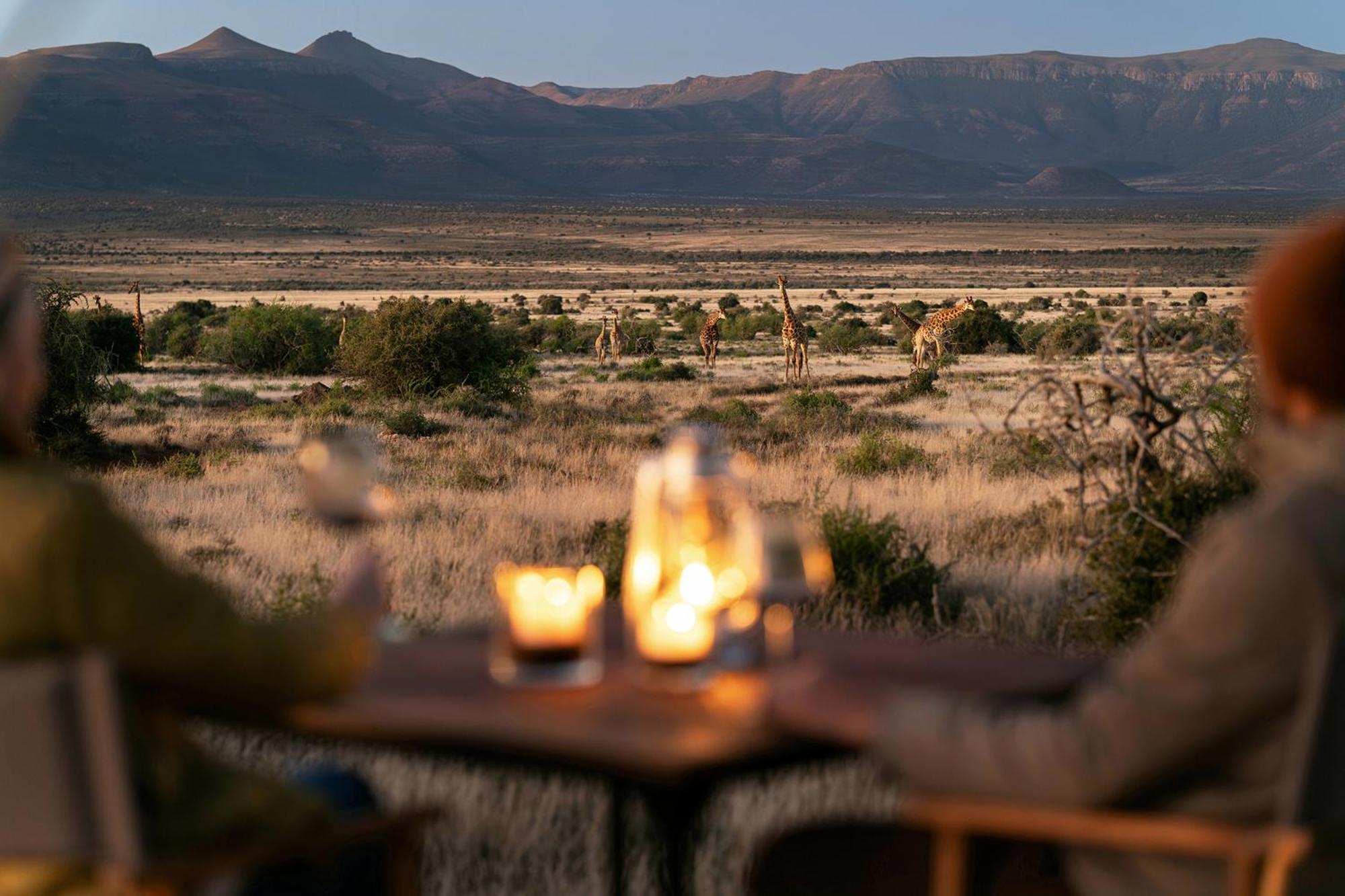 Samara Karoo Reserve Graaff-Reinet Eksteriør billede