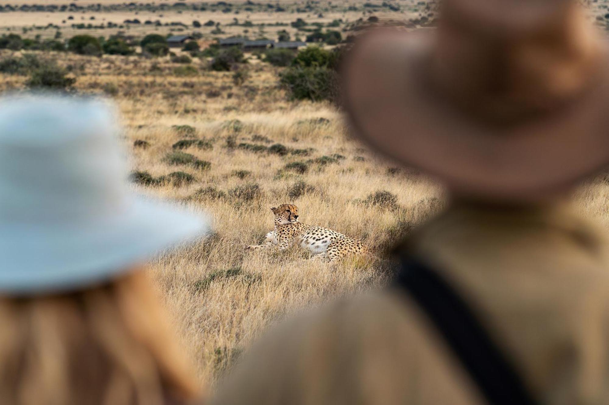 Samara Karoo Reserve Graaff-Reinet Eksteriør billede