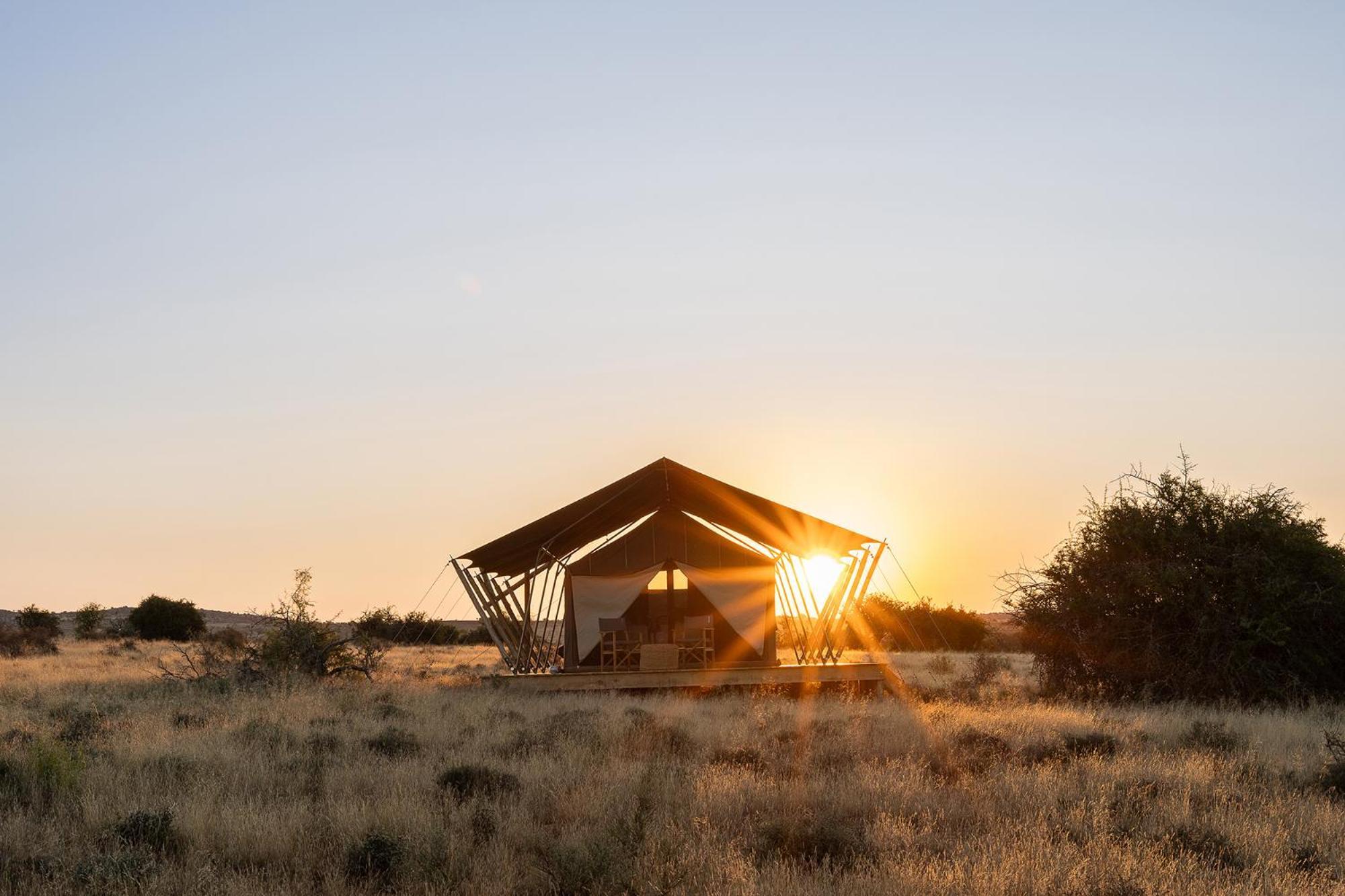 Samara Karoo Reserve Graaff-Reinet Eksteriør billede