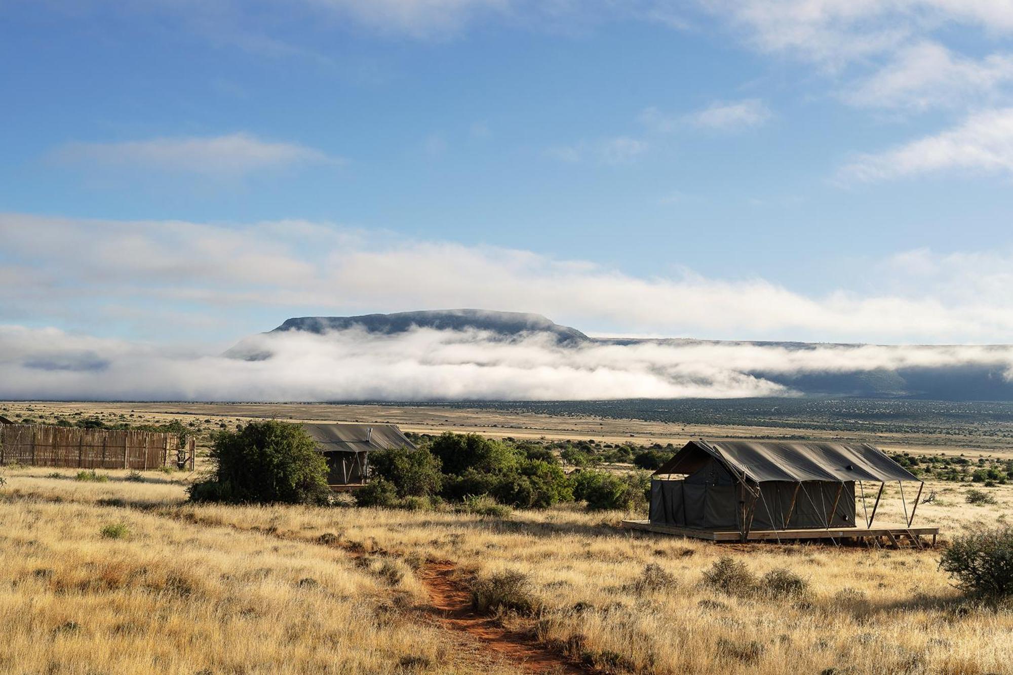 Samara Karoo Reserve Graaff-Reinet Eksteriør billede